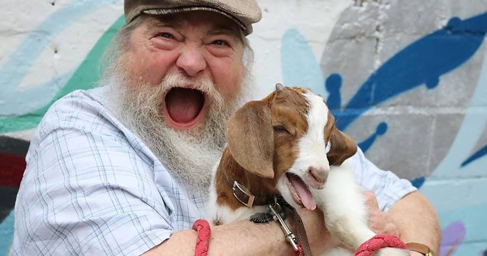 Son Shares Heartwarming Pictures Of His Dad Holding A 3 Weeks Old Baby Goat, And It’s Priceless