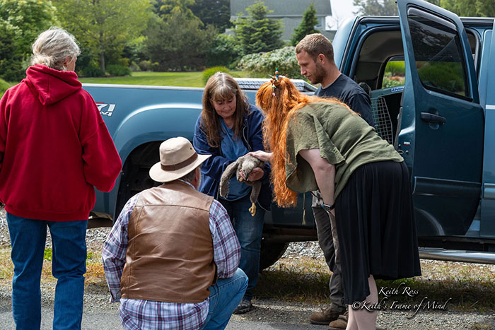 Someone Found Two Eaglets That Fell Out Their Nest, People Team Up To Rescue Them Someone Found Two Eaglets That Fell Out Their Nest, People Team Up To Rescue Them