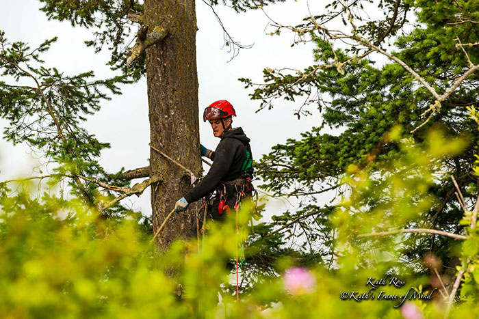 Someone Found Two Eaglets That Fell Out Their Nest, People Team Up To Rescue Them Someone Found Two Eaglets That Fell Out Their Nest, People Team Up To Rescue Them