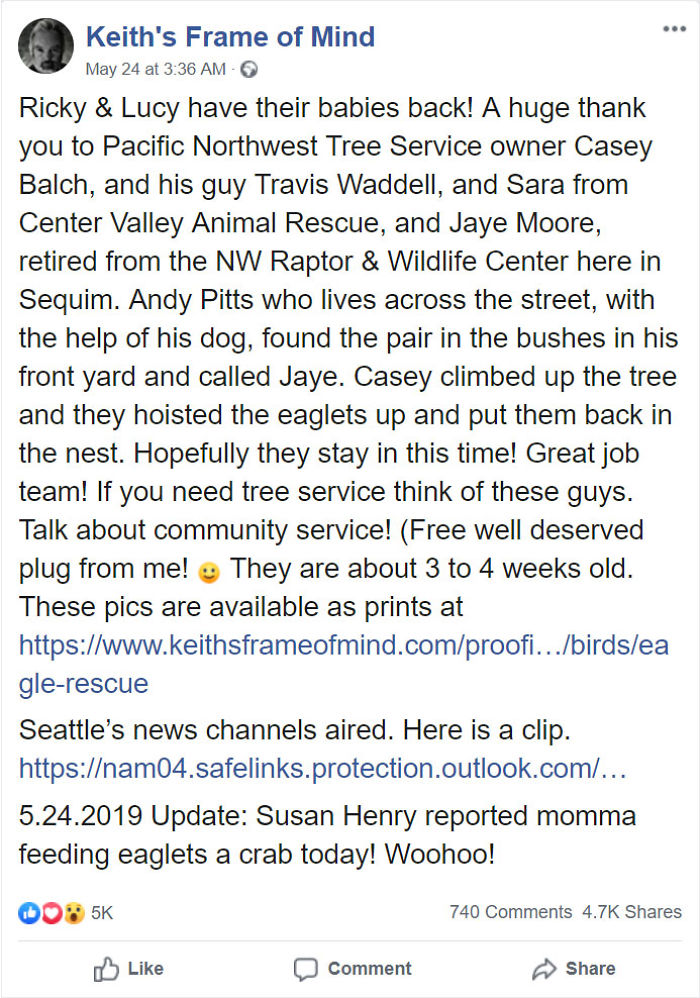 Someone Found Two Eaglets That Fell Out Their Nest, People Team Up To Rescue Them Someone Found Two Eaglets That Fell Out Their Nest, People Team Up To Rescue Them