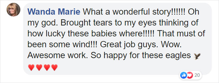 Someone Found Two Eaglets That Fell Out Their Nest, People Team Up To Rescue Them Someone Found Two Eaglets That Fell Out Their Nest, People Team Up To Rescue Them