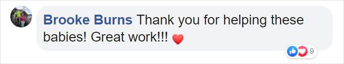 Someone Found Two Eaglets That Fell Out Their Nest, People Team Up To Rescue Them Someone Found Two Eaglets That Fell Out Their Nest, People Team Up To Rescue Them