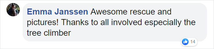 Someone Found Two Eaglets That Fell Out Their Nest, People Team Up To Rescue Them Someone Found Two Eaglets That Fell Out Their Nest, People Team Up To Rescue Them