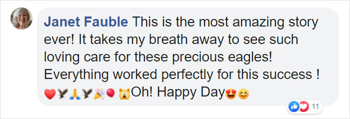 Someone Found Two Eaglets That Fell Out Their Nest, People Team Up To Rescue Them Someone Found Two Eaglets That Fell Out Their Nest, People Team Up To Rescue Them