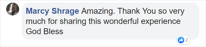 Someone Found Two Eaglets That Fell Out Their Nest, People Team Up To Rescue Them Someone Found Two Eaglets That Fell Out Their Nest, People Team Up To Rescue Them