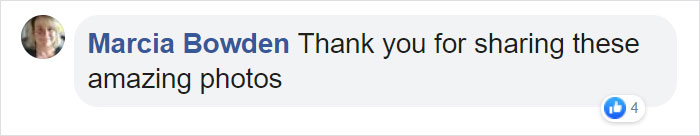 Someone Found Two Eaglets That Fell Out Their Nest, People Team Up To Rescue Them Someone Found Two Eaglets That Fell Out Their Nest, People Team Up To Rescue Them