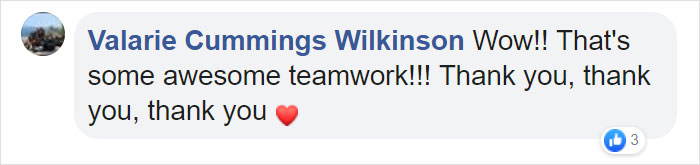 Someone Found Two Eaglets That Fell Out Their Nest, People Team Up To Rescue Them Someone Found Two Eaglets That Fell Out Their Nest, People Team Up To Rescue Them