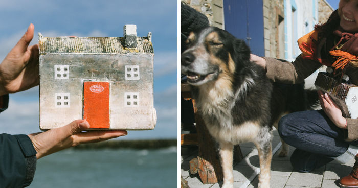 Project “Little Irish House” For Stray Animals In Lithuania
