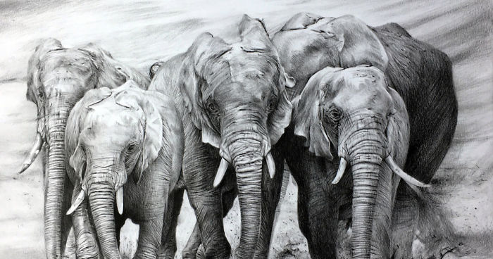 One Pen And One Month Later: Drawing My 5 Elephants