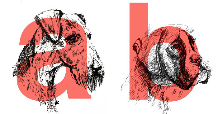 Dog Alphabet Number Two, That I Made From The First Letters Of Their Breeds