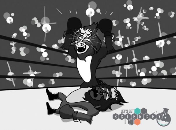 We Illustrated 29 Real Science Facts To Prove How Ridiculous They Are