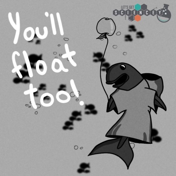 We Illustrated 29 Real Science Facts To Prove How Ridiculous They Are