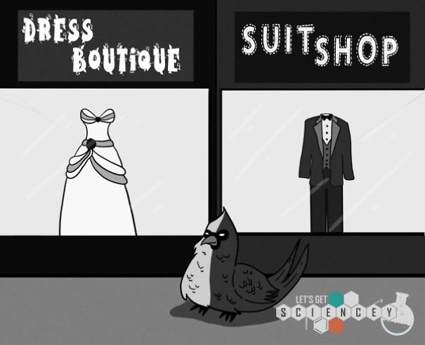 We Illustrated 29 Real Science Facts To Prove How Ridiculous They Are