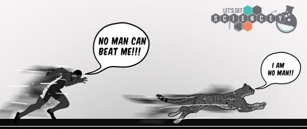 We Illustrated 29 Real Science Facts To Prove How Ridiculous They Are