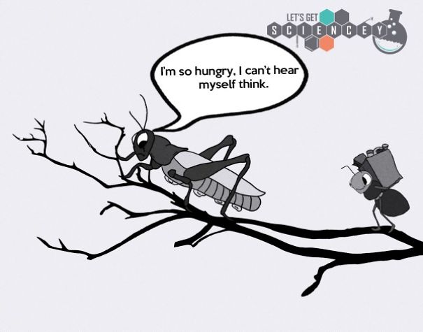 We Illustrated 29 Real Science Facts To Prove How Ridiculous They Are