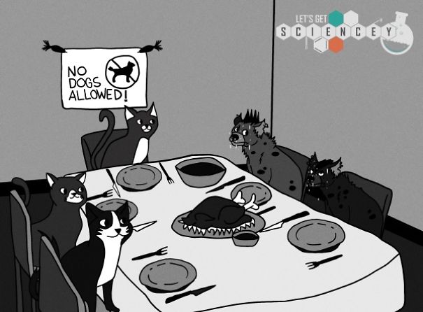 We Illustrated 29 Real Science Facts To Prove How Ridiculous They Are