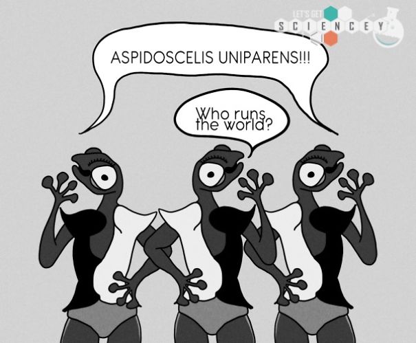 We Illustrated 29 Real Science Facts To Prove How Ridiculous They Are