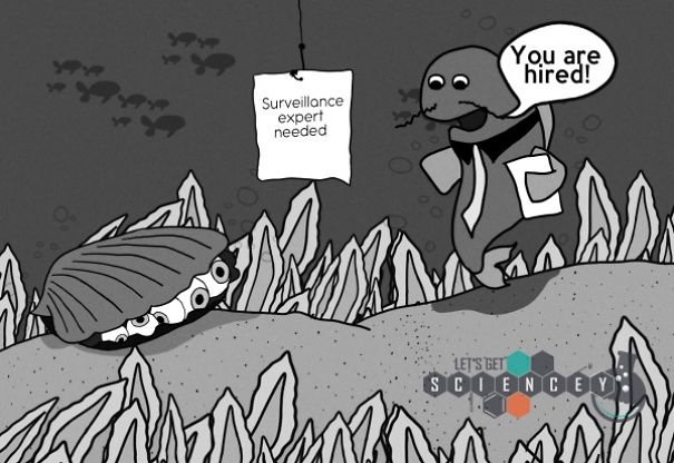 We Illustrated 29 Real Science Facts To Prove How Ridiculous They Are