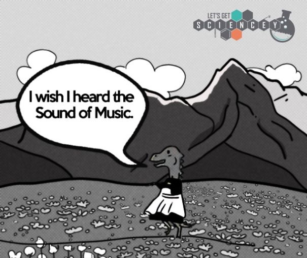 We Illustrated 29 Real Science Facts To Prove How Ridiculous They Are