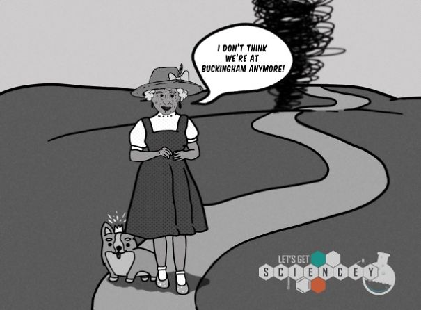 We Illustrated 29 Real Science Facts To Prove How Ridiculous They Are