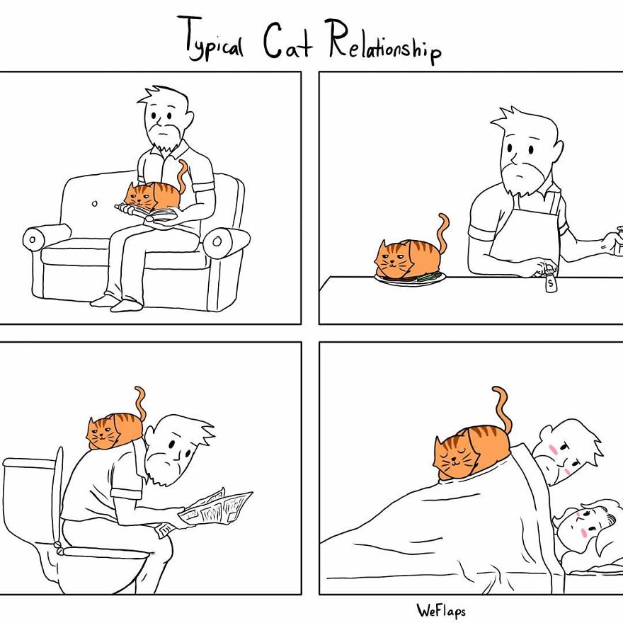 Cat Comics