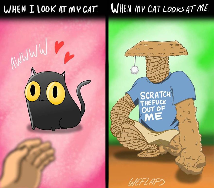 Cat Comics