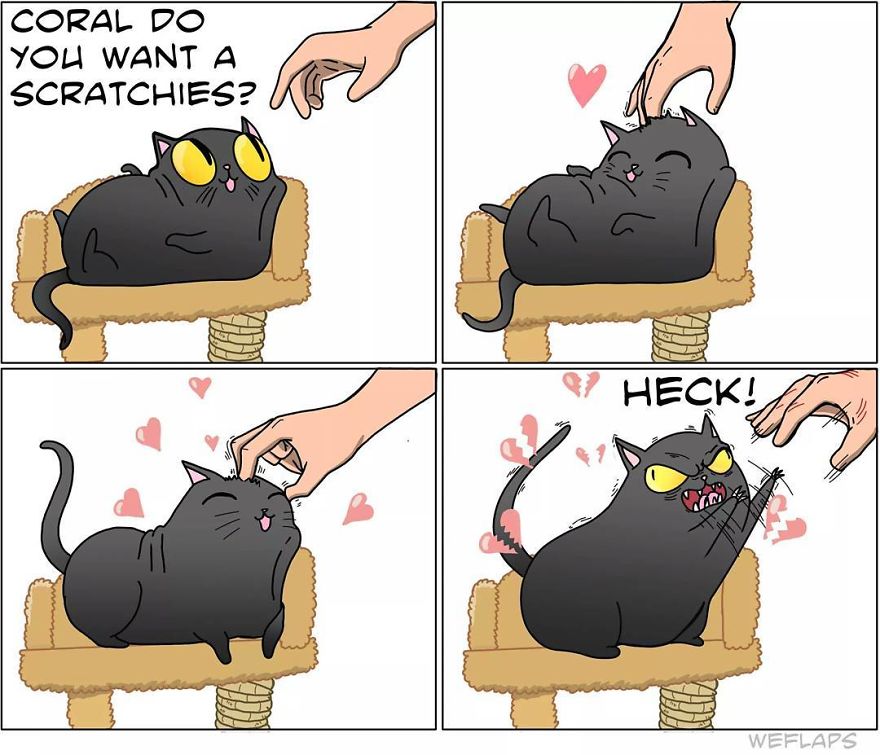 Cat Comics