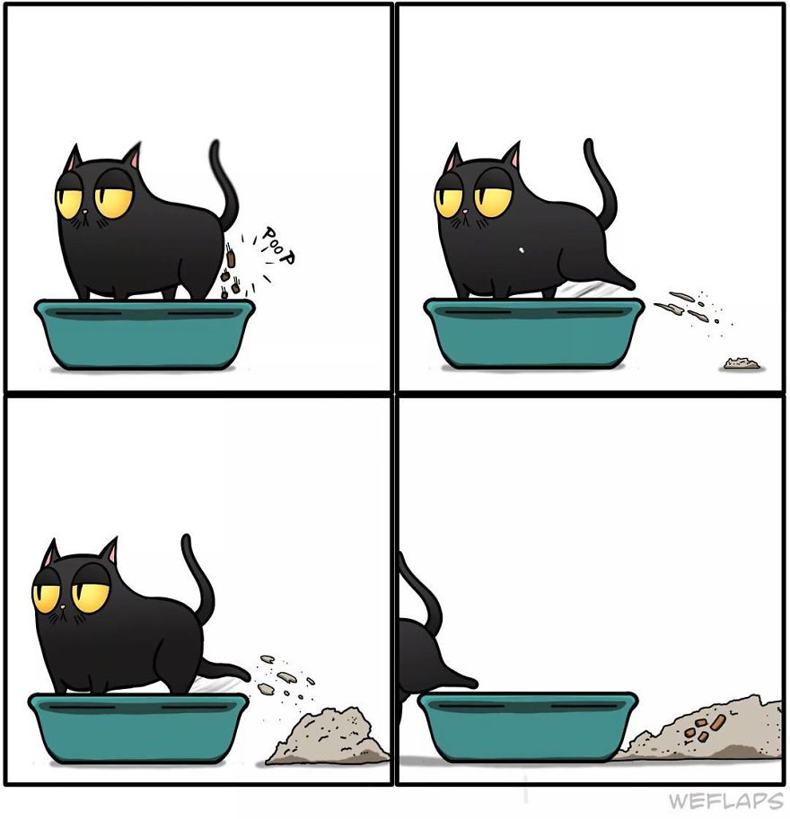 Cat Comics