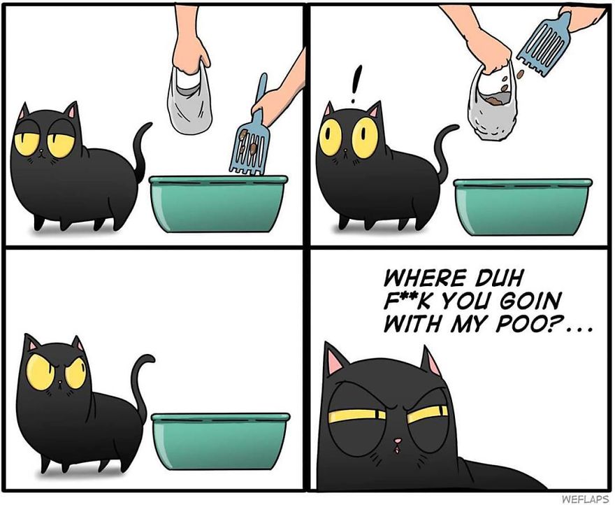 Cat Comics