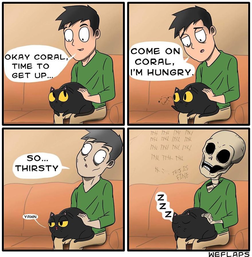 Cat Comics