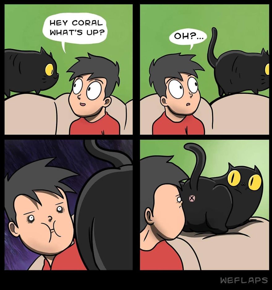 Cat Comics