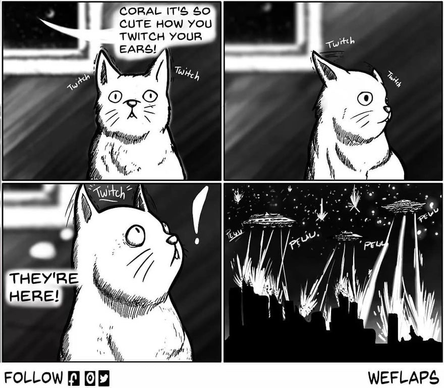 Cat Comics