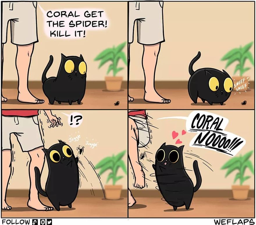 Cat Comics