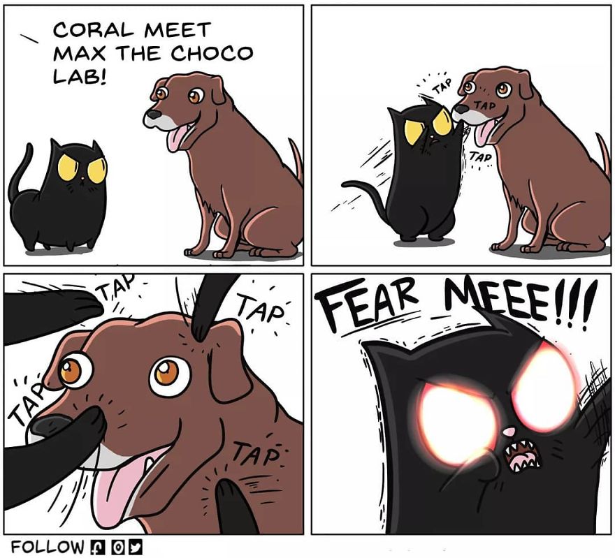 Cat Comics