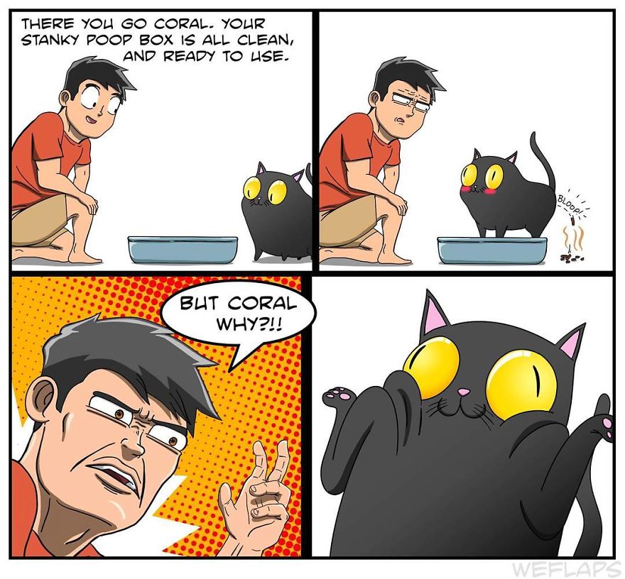 Cat Comics