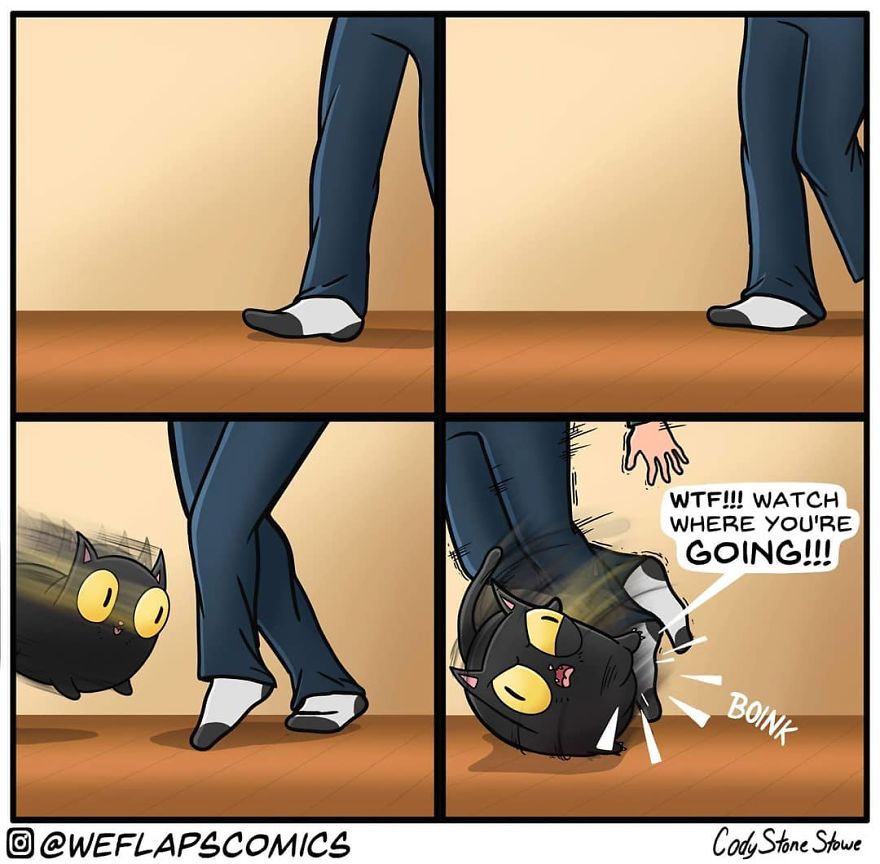Cat Comics