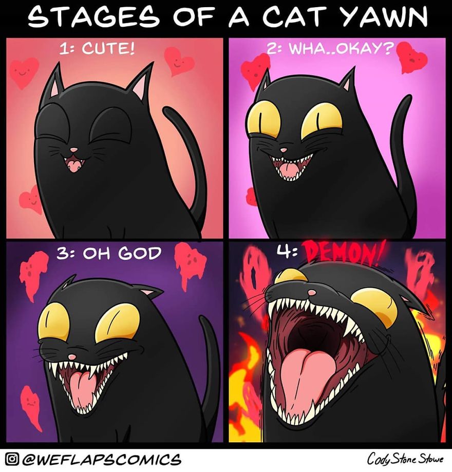 Cat Comics