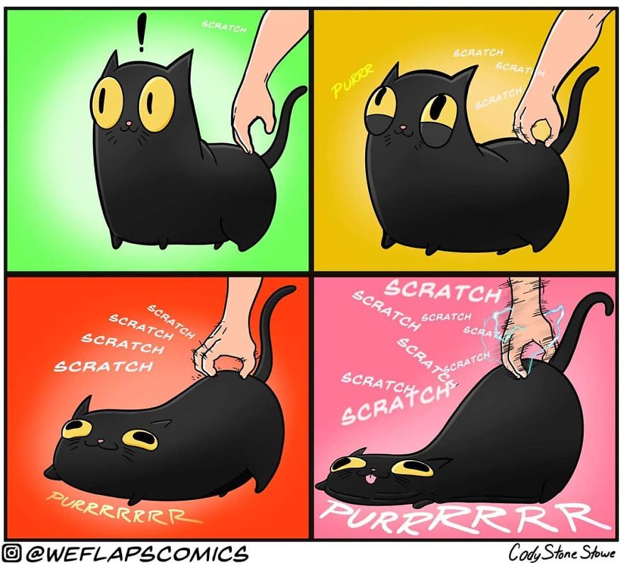 Cat Comics