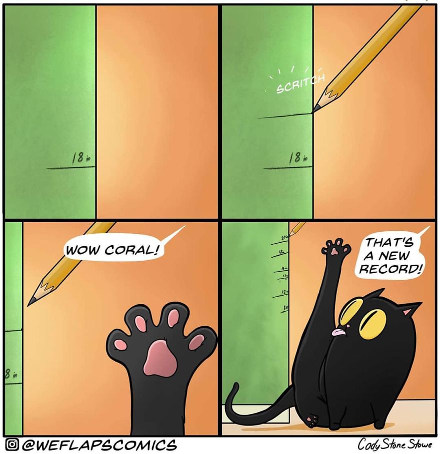 Cat Comics
