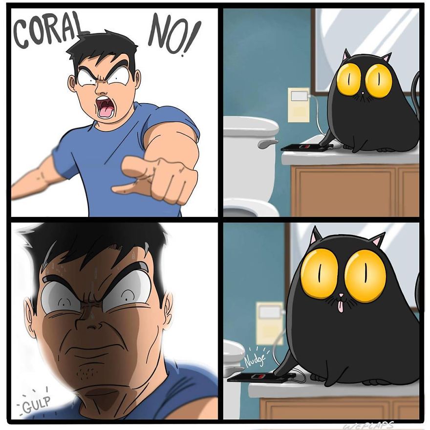 Cat Comics