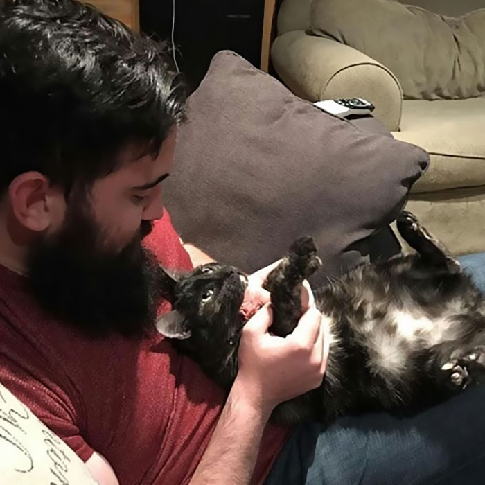 Funny-Public-Cat-Shaming