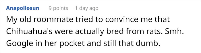 Artist Imagines The Origins Of 'Unique Dog Breeds' And They're Ridiculously Hilarious