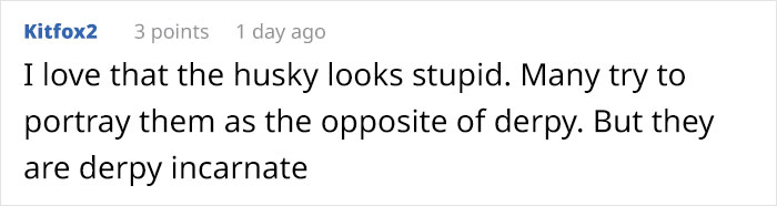 Artist Imagines The Origins Of 'Unique Dog Breeds' And They're Ridiculously Hilarious Artist Imagines The Origins Of 'Unique Dog Breeds' And They're Ridiculously Hilarious