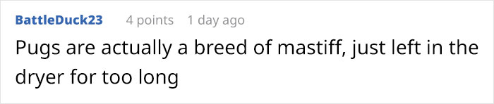 Artist Imagines The Origins Of 'Unique Dog Breeds' And They're Ridiculously Hilarious Artist Imagines The Origins Of 'Unique Dog Breeds' And They're Ridiculously Hilarious