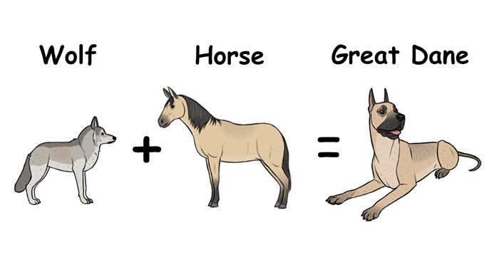 Artist Imagines The Origins Of ‘Unique Dog Breeds’ And They’re Ridiculously Hilarious