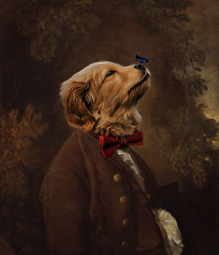 This Beautiful Puppy And Her Butterfly Friend Inspired A Photoshop Battle And You Could Add Your Own Picture