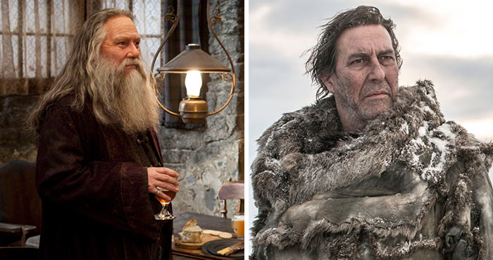 14 Actors Who Starred In Both Game Of Thrones And Harry Potter