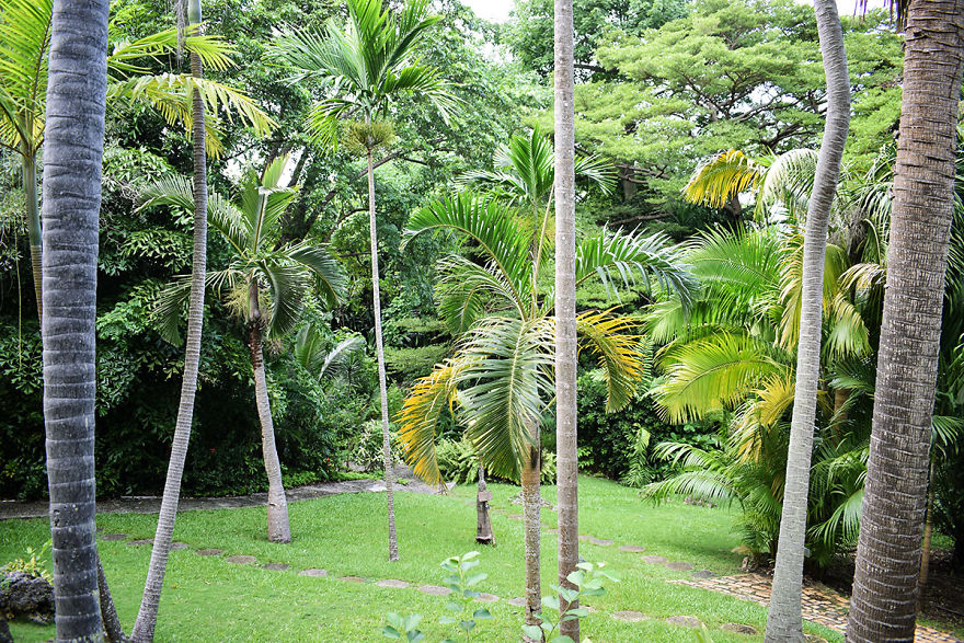 I Spent A Few Hours Exploring Andromeda Botanic Gardens