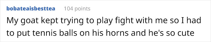 14 Pics Of Misbehaving Goats That Were Forced To Wear Pool Noodles For Everyone's Safety 14 Pics Of Misbehaving Goats That Were Forced To Wear Pool Noodles For Everyone's Safety