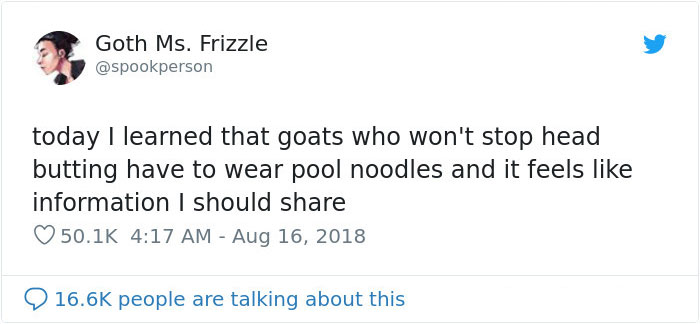 14 Pics Of Misbehaving Goats That Were Forced To Wear Pool Noodles For Everyone's Safety